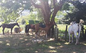 Apartamento Rural Zuri